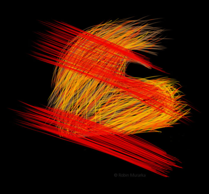 There is no Lion – Short Story by Robin Murarka There is no Lion - Short Story by Robin Murarka