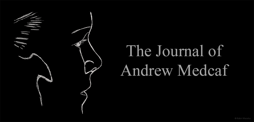 The Journal of Andrew Medcaf by Robin Murarka